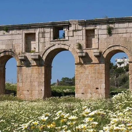 Отель Ceyrek Camping&bungalows *